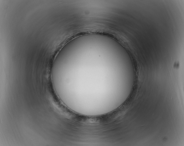 X0000112150546200908071005
