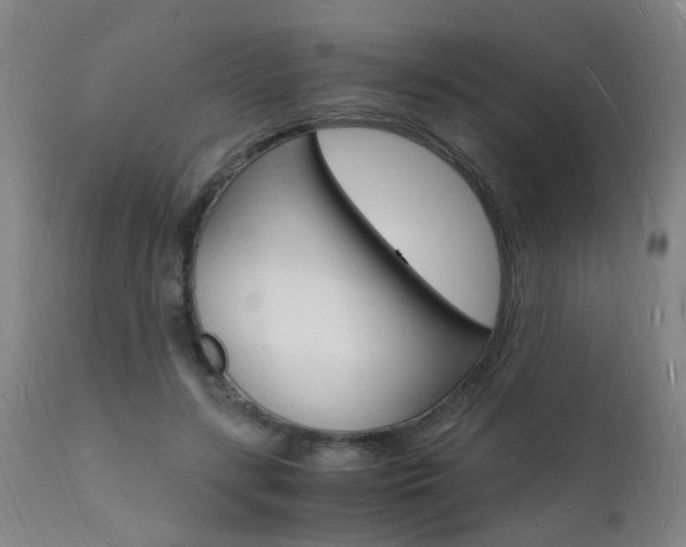 X0000112150547200908071005