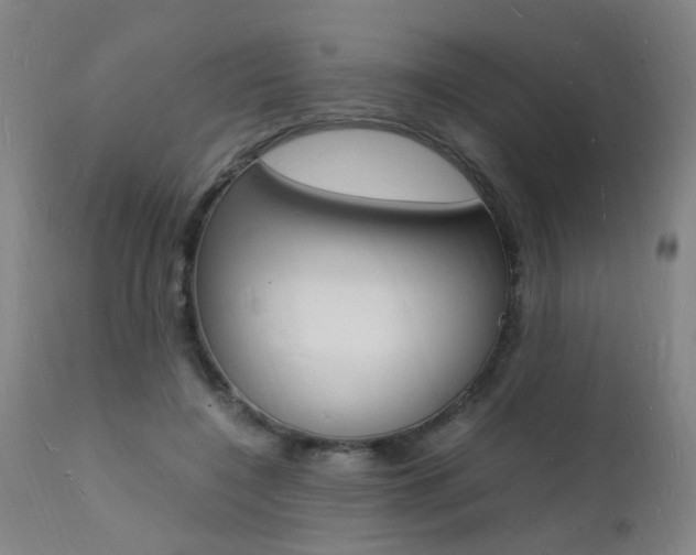 X0000112150548200908071006