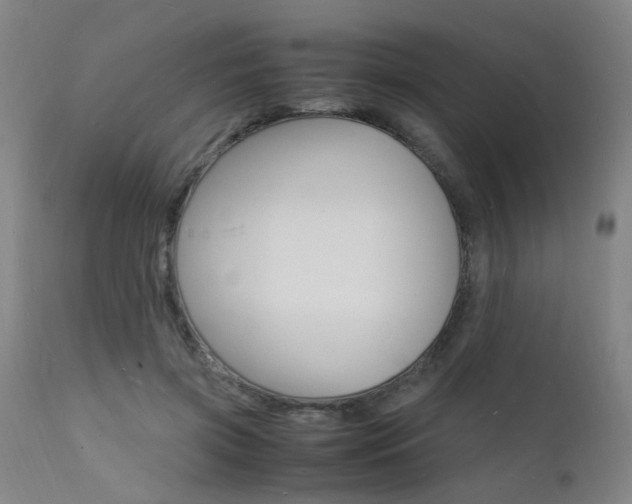 X0000112150549200908071006