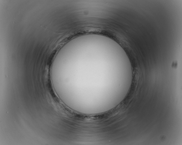 X0000112150550200908071006