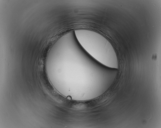 X0000112150551200908071006