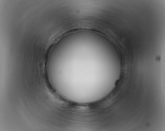 X0000112150552200908071006