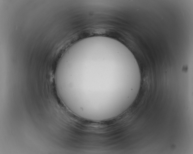 X0000112150555200908071006