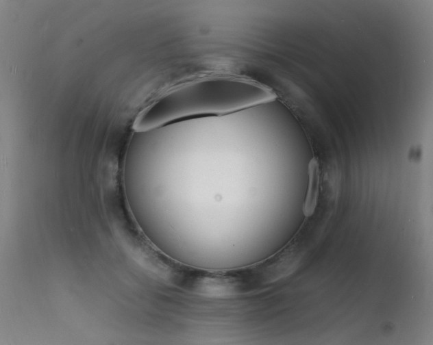 X0000112150556200908071006