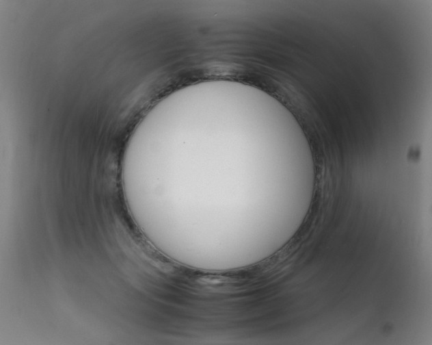 X0000112150557200908071006