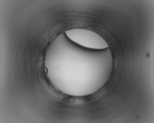 X0000112150559200908071006