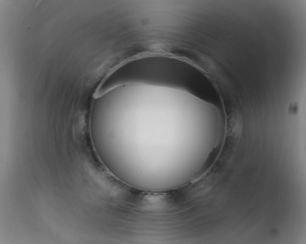 X0000112150560200908071006