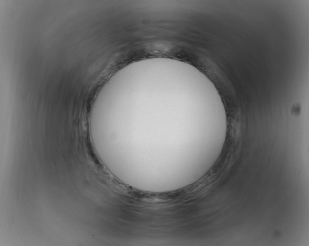 X0000112150561200908071006