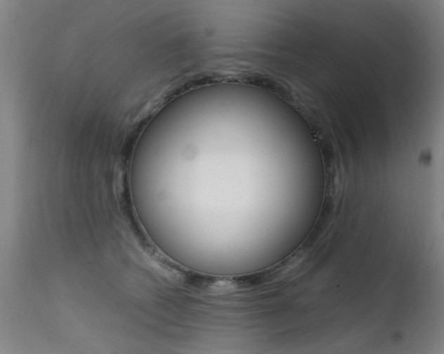 X0000112150562200908071006