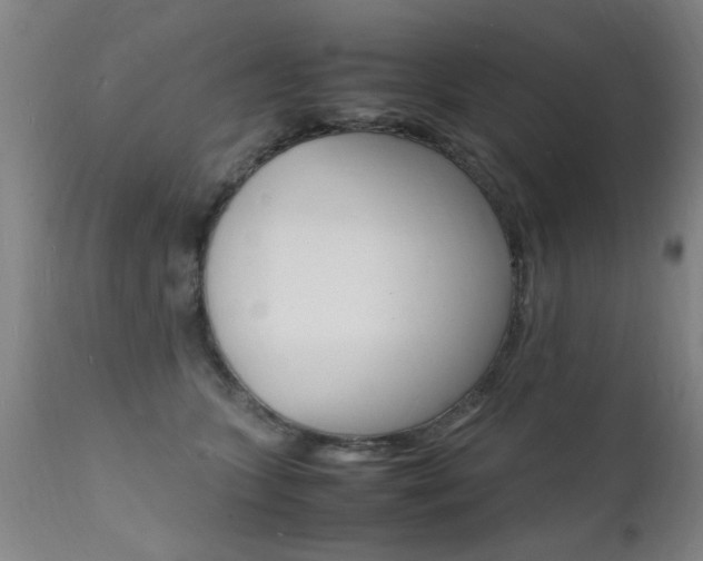 X0000112150563200908071006