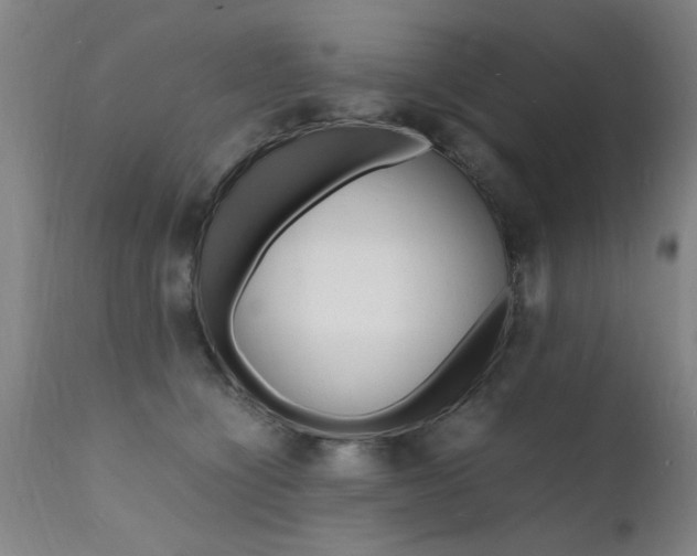 X0000112150564200908071006