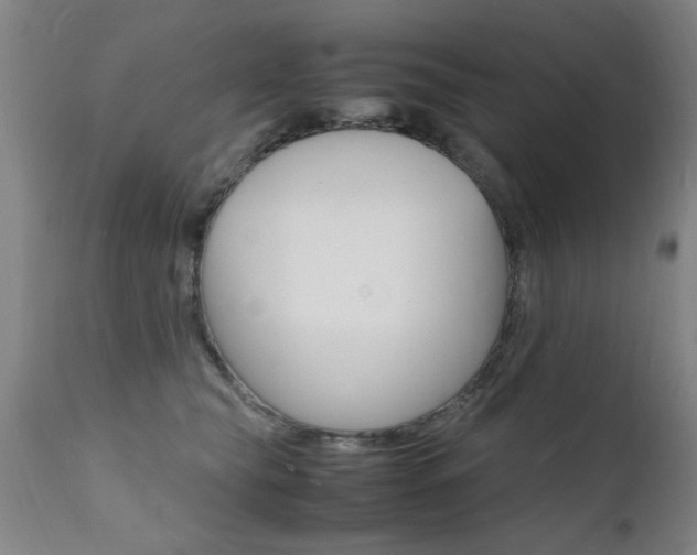 X0000112150565200908071006