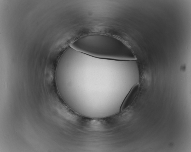 X0000112150566200908071006