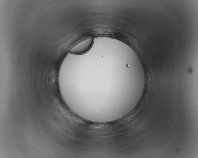 X0000112150567200908071006