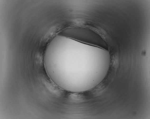 X0000112150568200908071006