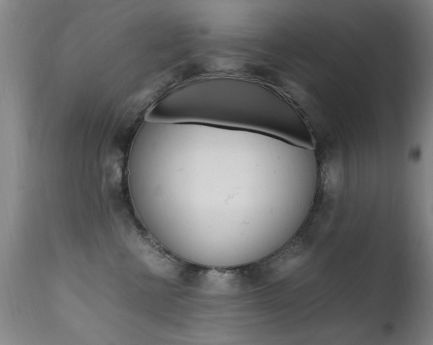 X0000112150570200908071006