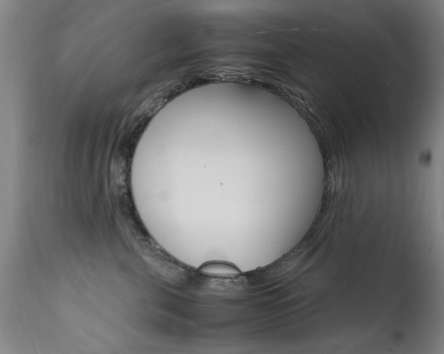 X0000112150571200908071006