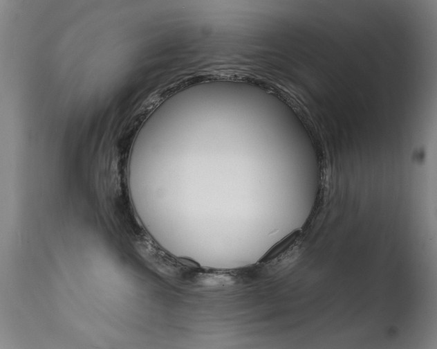 X0000112150572200908071006