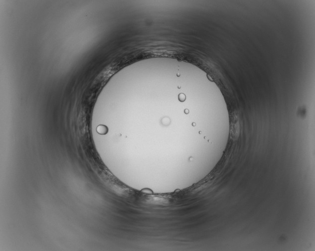 X0000112150573200908071006