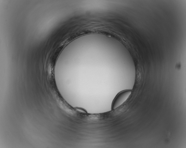 X0000112150574200908071006
