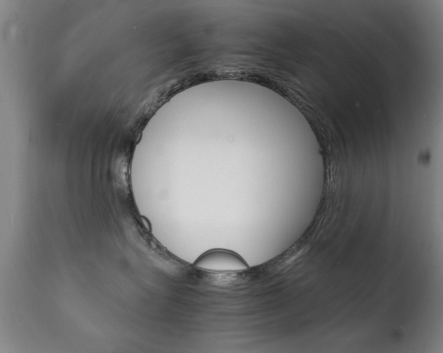 X0000112150575200908071006
