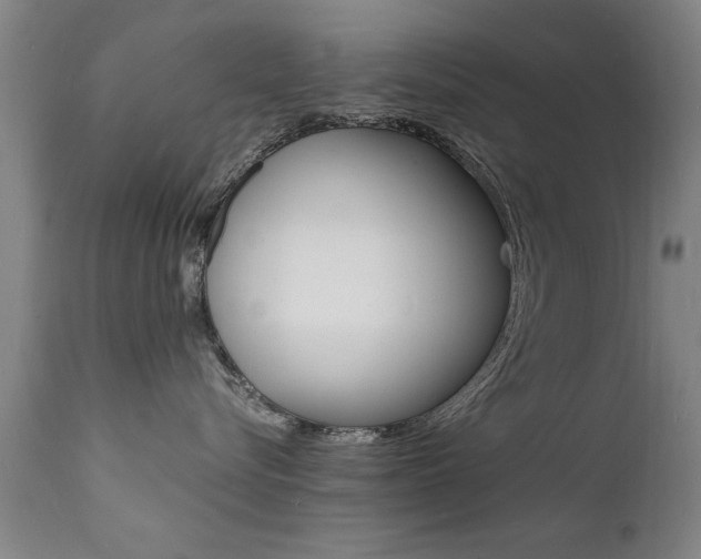 X0000112150576200908071006