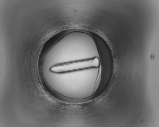 X0000112150577200908071005