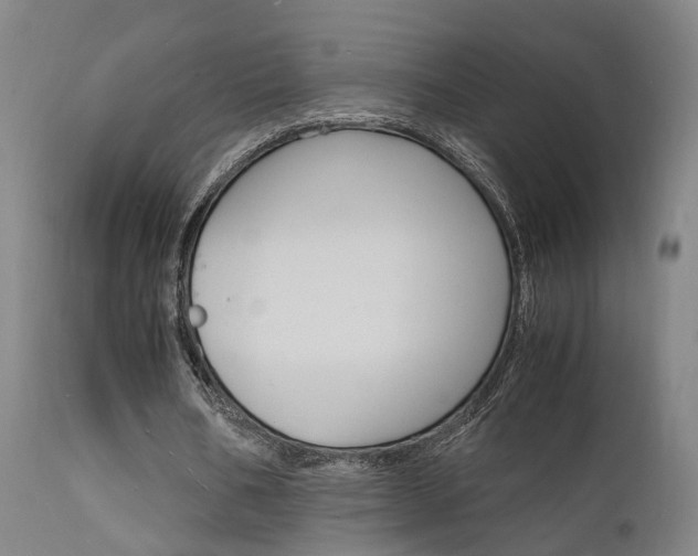 X0000112150578200908071005