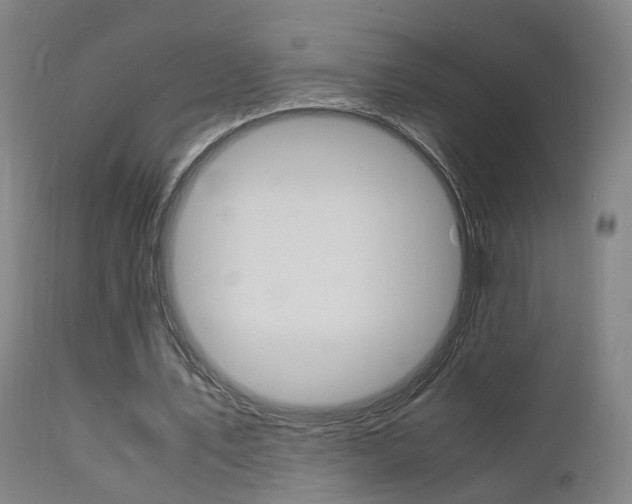 X0000112150579200908071005