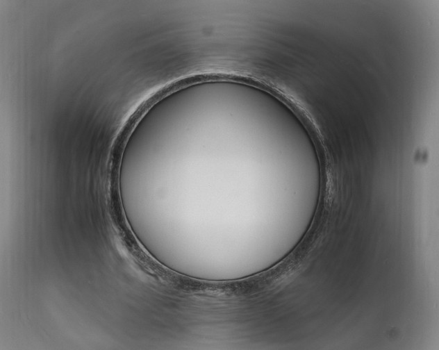 X0000112150580200908071005