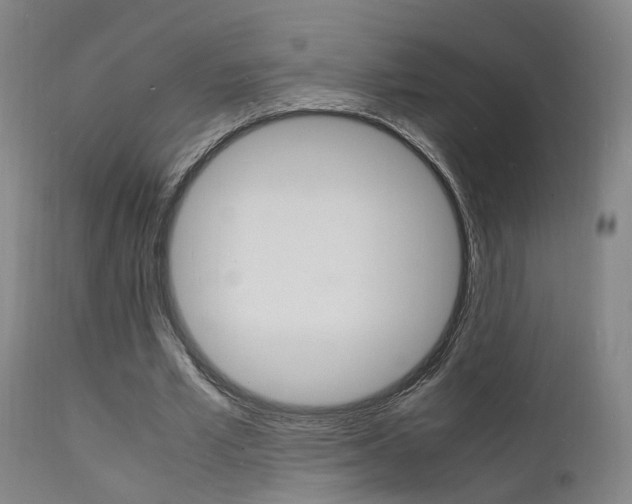 X0000112150581200908071005