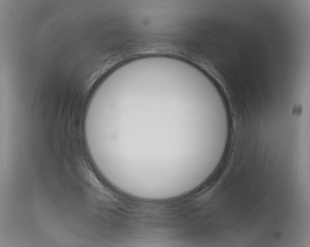 X0000112150585200908071005