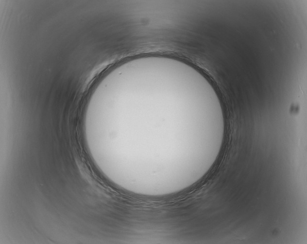 X0000112150587200908071005