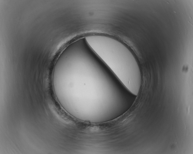 X0000112150588200908071005