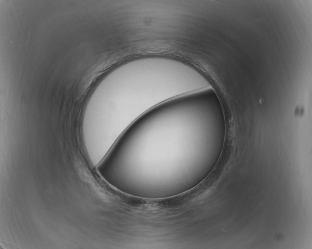 X0000112150589200908071005