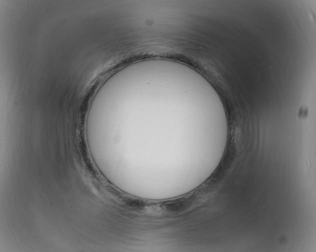 X0000112150591200908071005
