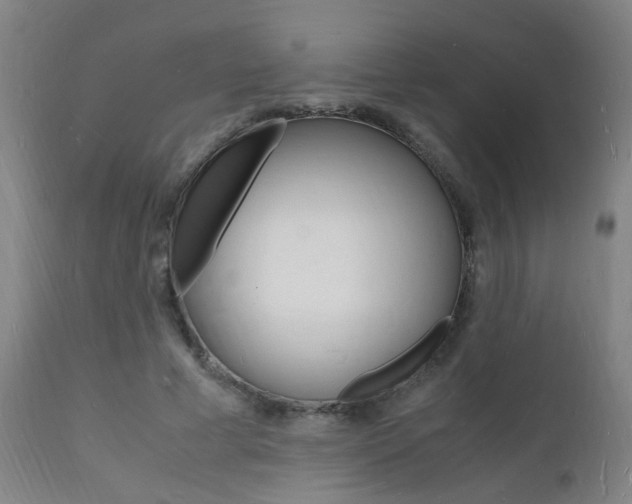 X0000112150593200908071005