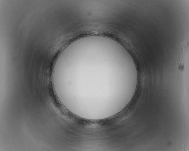 X0000112150594200908071005