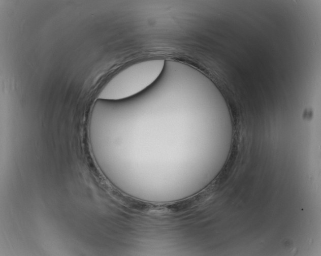X0000112150595200908071005