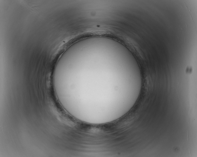 X0000112150596200908071005