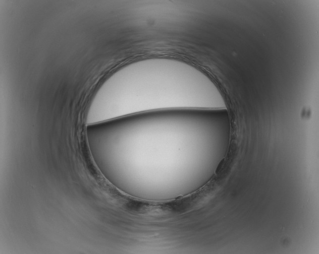 X0000112150597200908071005