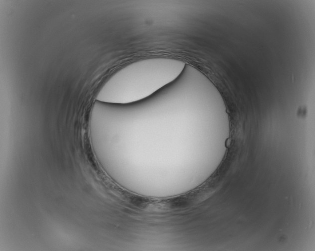 X0000112150599200908071005