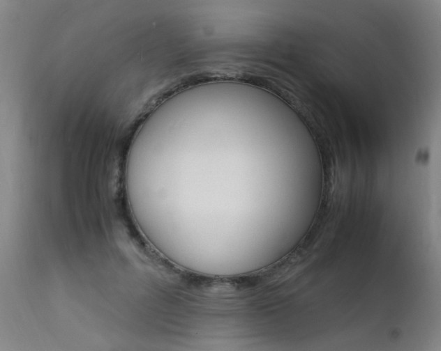 X0000112150600200908071005