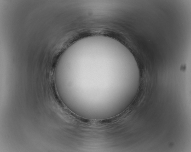X0000112150601200908071005