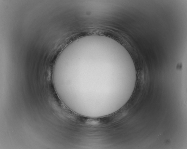 X0000112150602200908071005