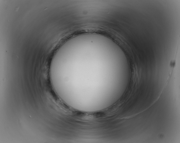 X0000112150604200908071005