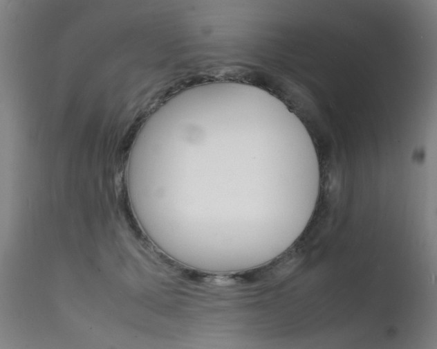 X0000112150607200908071004
