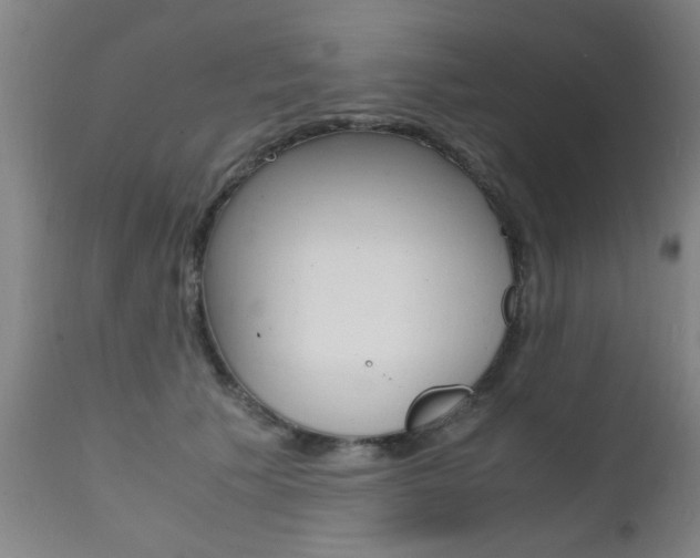 X0000112150609200908071004