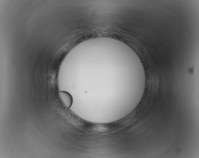 X0000112150610200908071004